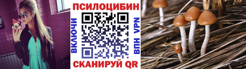 Галлюциногенные грибы MAGIC MUSHROOMS  Купить  Яровое 